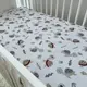 Матрас детский Baby Comfort Соня №8 (120*60*8 см) Черепашки