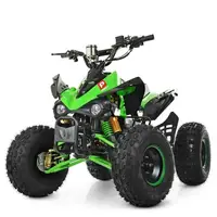 Квадроцикл Profi HB-EATV1000Q2-5 MP3