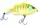 Воблер Jackall Bros Baby Giron S 61mm 7.8g RT Albino Chart Gill