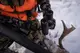 Бинокль Vortex Triumph HD 10x42 TRI-1042