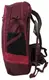 Спортивный рюкзак с дождевиком Rocktrail Wander-rucksack 25L IAN376550 бордовый