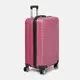 Чемодан средний 4 колеса Ricco Grande T1ABS600rose-L