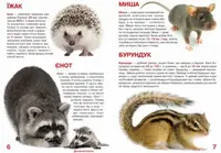 Книга "Велика книга. Дикі тварини" (укр)