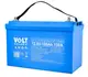 Аккумуляторная батарея Volt Polska LiFePO4 12,8V 100Ah (150А) + BMS + Bluetooth