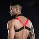 Мужской эротический комплект с портупеей Roger S/M