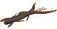 140174-085 Німфа силікон. HOGY SHRIMP LJ Pro Series 3,5 "/ 085 *5