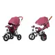 Велосипед триколісний TILLY TRAVEL T-387/1 Фіолетовий
льон