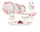 Сервиз столовый Luminarc Essence Dalary Q5718 46 предметов