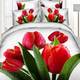 Постельное белье 3D полуторное Love You Блеск STP558 97 160х220 см