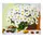 Картина по номерам Ромашки, 60 х 75 см, краски, кисти. Multicolor (JY001)