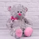 Мягкая игрушка Копиця Медвежонок Мишель 21037 25 см