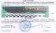 Нож несложный (тактический) 235 мм 2890 LWB Grand Way 2890 LWB