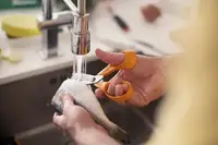 Ножницы универсальные Fiskars 1001538 24 см