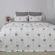 Постельное белье двуспальное ТЕП Melluna Soft Ribbons 2-04713_33551 215х180 см