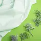 Ткань коттон поплин светлая мята