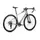 Велосипед MONDRAKER Arid R 28'', Golden Silver, M/L