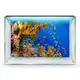 Морское дно наклейка в аквариум 75х125 см. (1250х750)