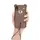 Чехол Baseus для iPhone XR Bear Silicone Case, Brown (WIAPIPH61-BE08)