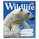 Тетрадь для записей А5 YES Wild life 766133 96 листов