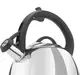 Чайник со свистком Ringel Trio RG-1005 2.5 л