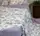 Постельное белье полуторное с летним одеялом из муслина Koloco Print 4 20841 150х200 см