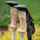 Палки трекинговые Vipole Trango Cork (S25 14)