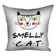 Подушка c принтом габардиновая Smelly cat 50x50 см (5P_DR013)