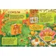 Книги для ума: Тайная жизнь насекомых, укр