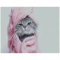 Алмазная мозаика Strateg ПРЕМИУМ Выкупанный котик 40х50 см FA0026