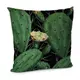 Подушка диванная с бархата Кактусы 45x45 см (45BP_TFL062)