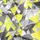 Евро постель с простыней на резинке GEOMETRY CS11