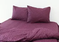 Комплект постельного белья R130Marsala TAG(sem)-770