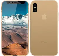 Чехол-накладка TOTO 360 Fully-covered TPU case iPhone X Gold