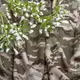 Ткань трикотажное полотно КУЛМАКС принт Пиксель
