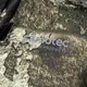 Лонгслив Chiton Hood CoolPass SJ Norman (6656), XXXL