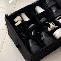 Органайзер ORGANIZE для взуття на 8 пар до 44 розміру 43х35х29 см (чорний)