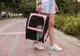 Рюкзак-переноска для кошек и собак 41х32х29 см CosmoPet CP-27 Pink