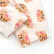 Костюм детский кофта с карманом штаны Girl Bears двунитка с начесом