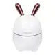Увлажнитель воздуха и ночник Humidifier Rabbit Y105 Белый 200 мл