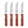 Набор ножей для стейков Bergner Bbq lovers BG-40201-MM 4 предмета
