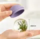 Форма для льда ICE-BALL Ледяной Шар для виски и коктейлей