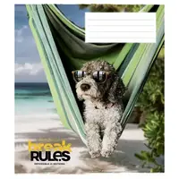 Тетрадь общая "Break the rules" 060-3220L-1 в линию на 60 листов