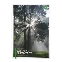 Блокнот для записів у клітинку А4 YES 7 БЦ Nature 152033 80 аркушів