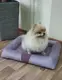 Матрас для котов и собак Меджик фиолетовый №4/ 92х117