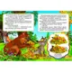 Книжка-картонка с игровыми заданиями "Лиса и кот" (укр)
