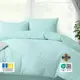Комплект постельного белья евро Tropical Dream IDEIA, в подарочной упаковке мята