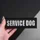 Набор шевронов 4 шт с липучкой Service Dog для служебных собак, кинологов, кинологическая служба, нашивка патч