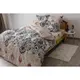 Постельное белье семейное ТЕП Soft dreams Turkish 2-03860-25324 150х215х2 см