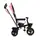 Велосипед трехколесный Momi TELDE Pink