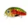 Воблер Strike Pro Baby Pro 25F 2.0г 71 5050430